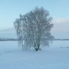 Winterlandschaft in Brandenburg