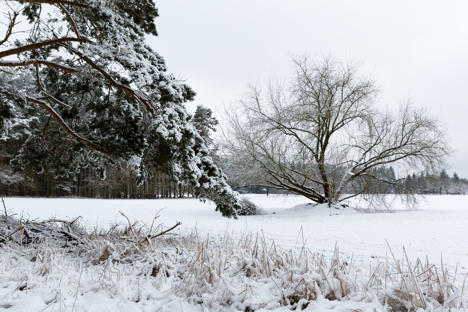 Winterlandschaft in Brandenburg