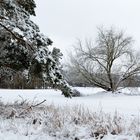 Winterlandschaft in Brandenburg