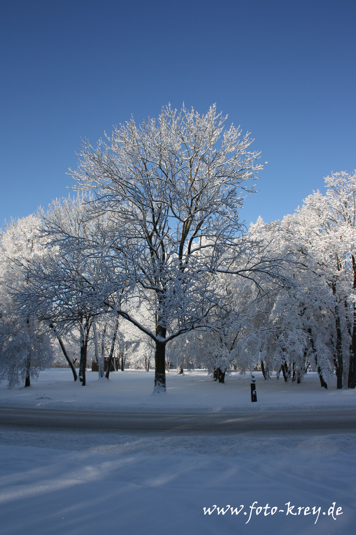 Winterlandschaft in Buchenwald bei Weimar.