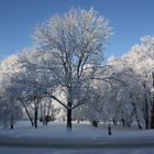 Winterlandschaft in Buchenwald bei Weimar.