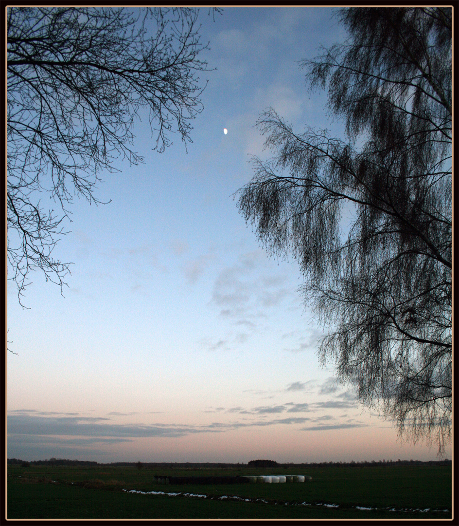 Winterlandschaft in den Abendstunden