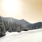 Winterlandschaft in den Alpen