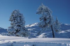 Winterlandschaft in den Bergen