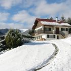 Winterlandschaft in den südl. Vogesen ( Elsass/ Frankreich)