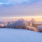 Winterlandschaft in der Abendsonne