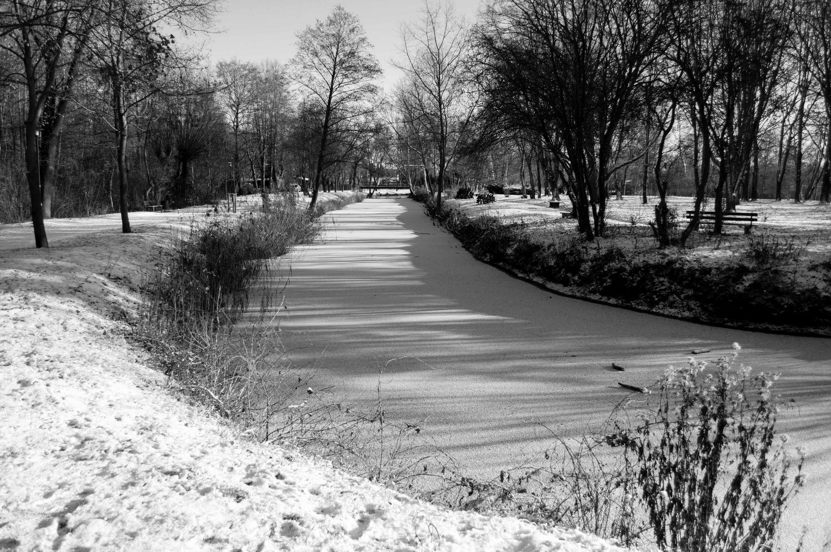 Winterlandschaft in der Fuhneaue