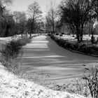 Winterlandschaft in der Fuhneaue