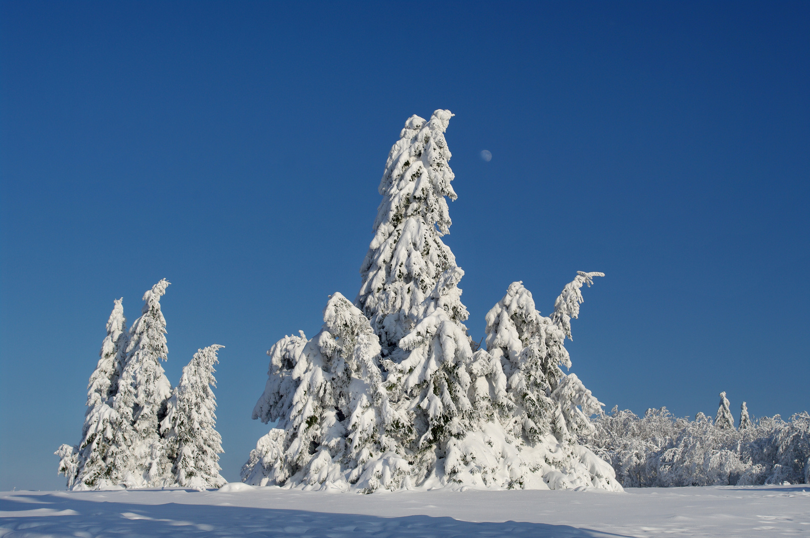 Winterlandschaft in der Hochheide, Kahler Asten