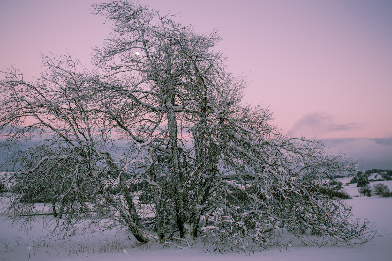 Winterlandschaft in der Hochrhön (2) bei Vollmond