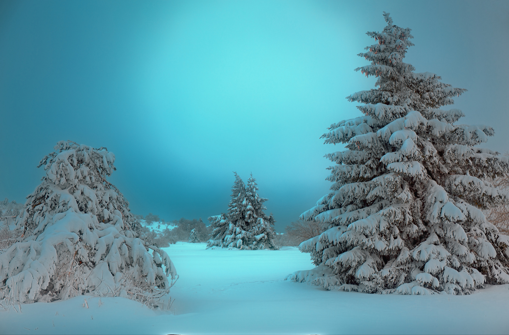 Winterlandschaft in der Hochrhön