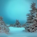 Winterlandschaft in der Hochrhön