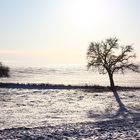 Winterlandschaft in der Nachmittagssonne