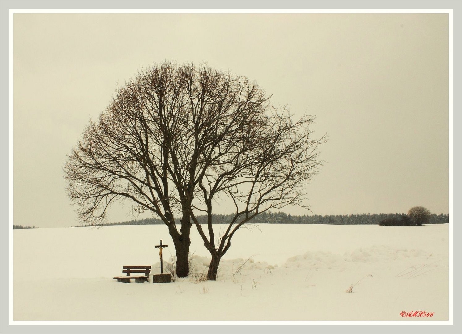 Winterlandschaft in der Oberpfalz