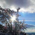 Winterlandschaft in der Rhön