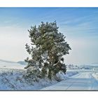 Winterlandschaft in der Schwalm