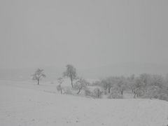 Winterlandschaft in der Streuobstwiese vom 18.03.2004