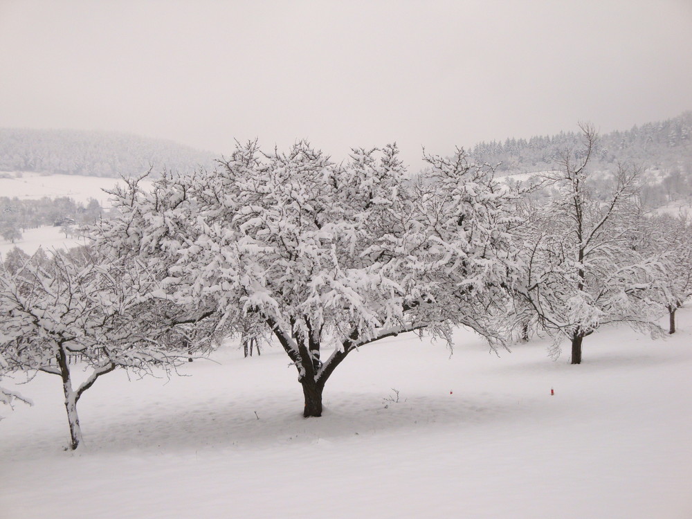 Winterlandschaft in Eningen