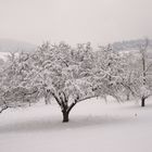 Winterlandschaft in Eningen