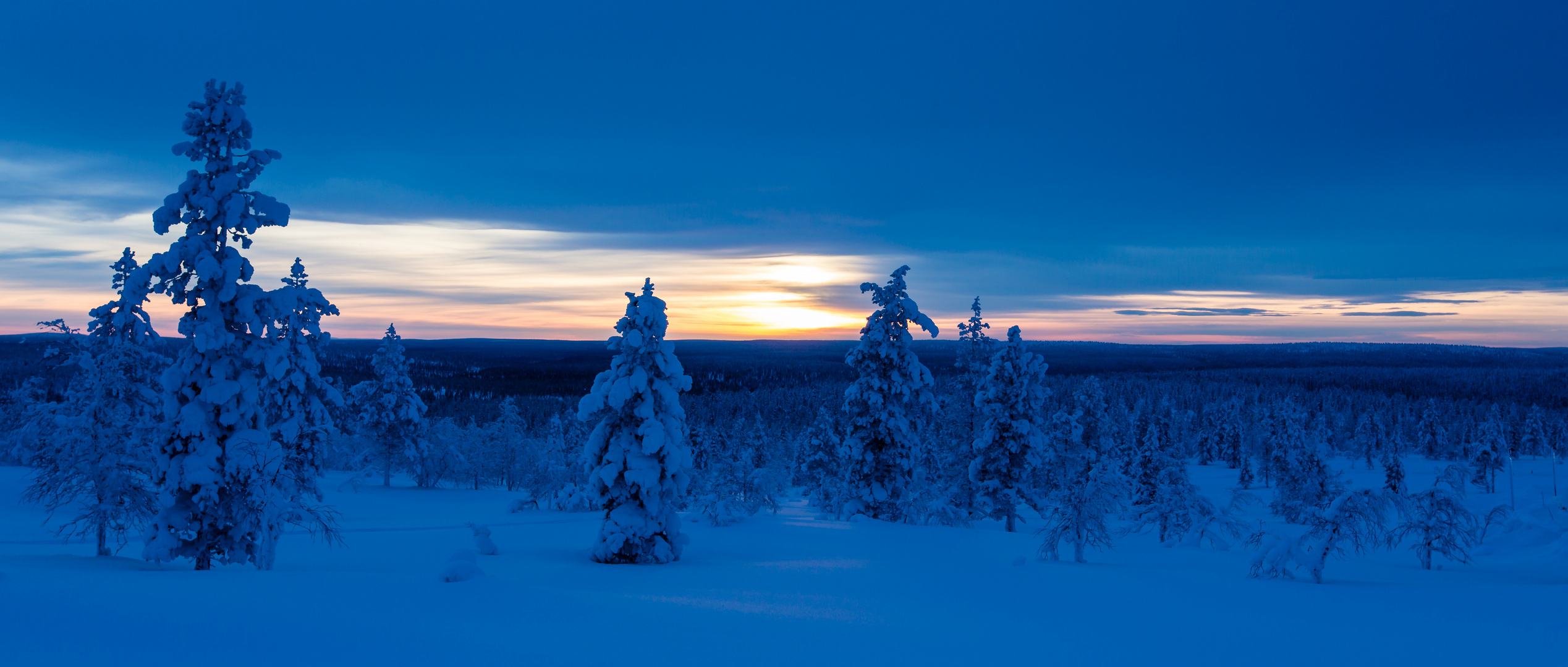 Winterlandschaft in Finnland