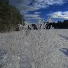 Winterlandschaft in Finow