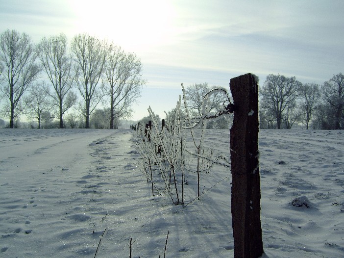 Winterlandschaft in Friesland