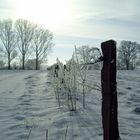 Winterlandschaft in Friesland