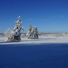 Winterlandschaft in Füssen