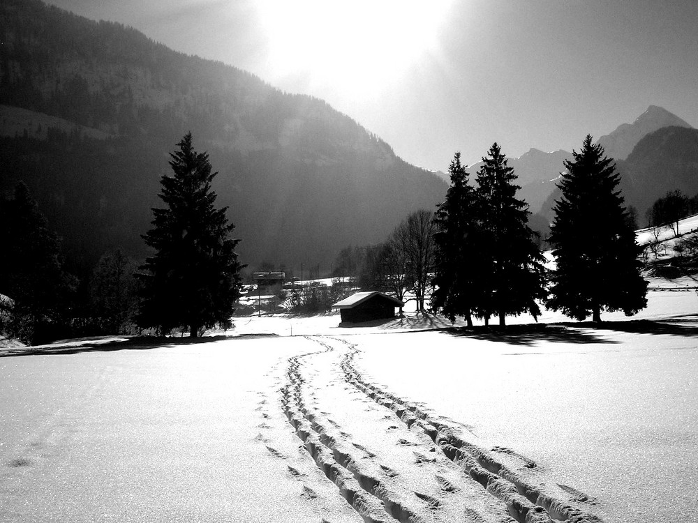 Winterlandschaft in Goldegg am See 2005