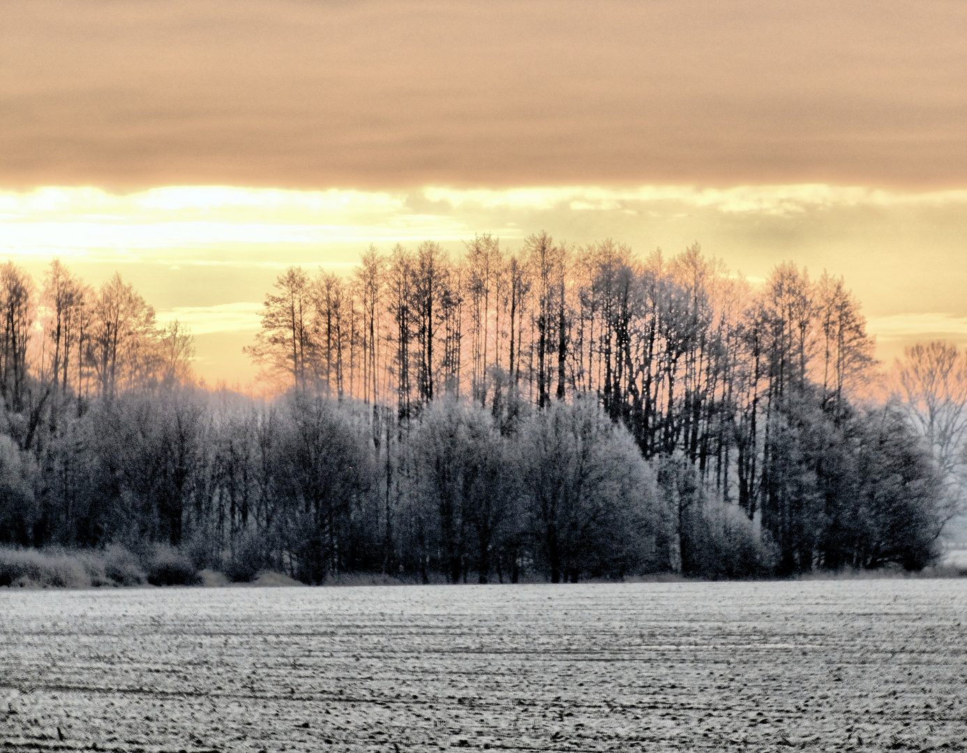 Winterlandschaft in HDR