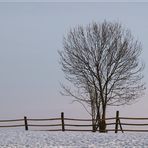 Winterlandschaft in Herne....