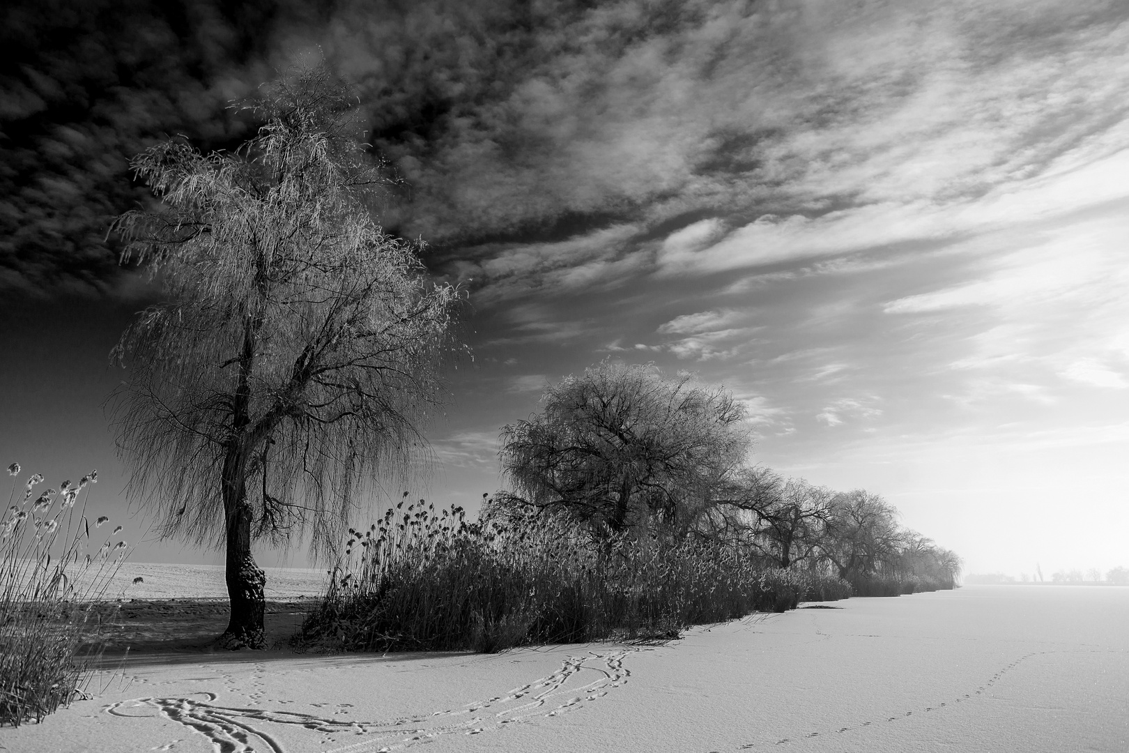 Winterlandschaft in Hortobagy