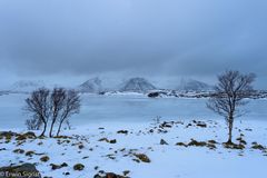 Winterlandschaft in Hov - Lofoten