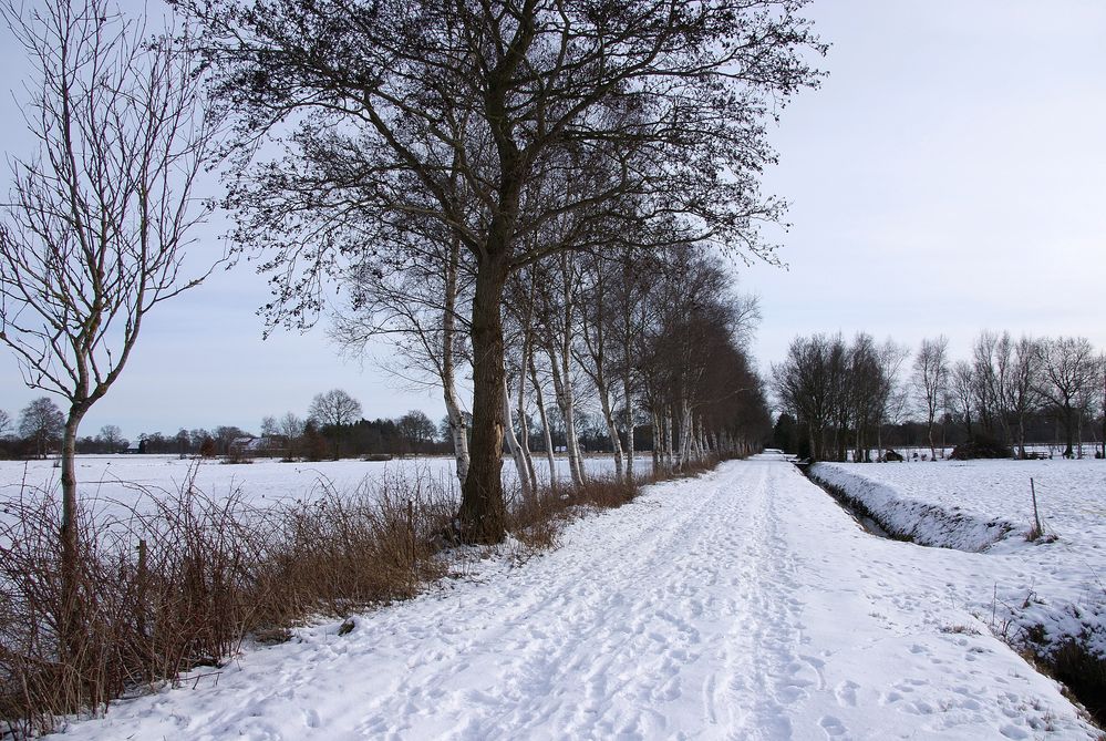 WInterlandschaft in Idafehn