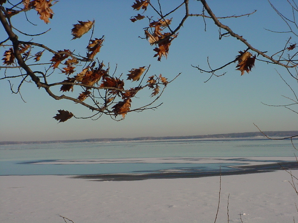 Winterlandschaft in Kanada