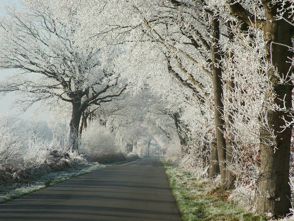 Winterlandschaft in Marx II