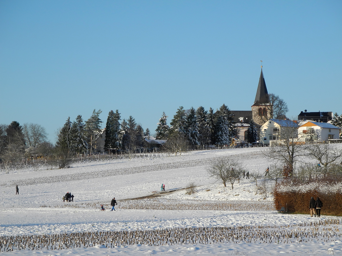 Winterlandschaft in Massenheim/ Hochheim