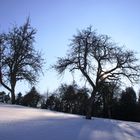 Winterlandschaft in Murrhardt