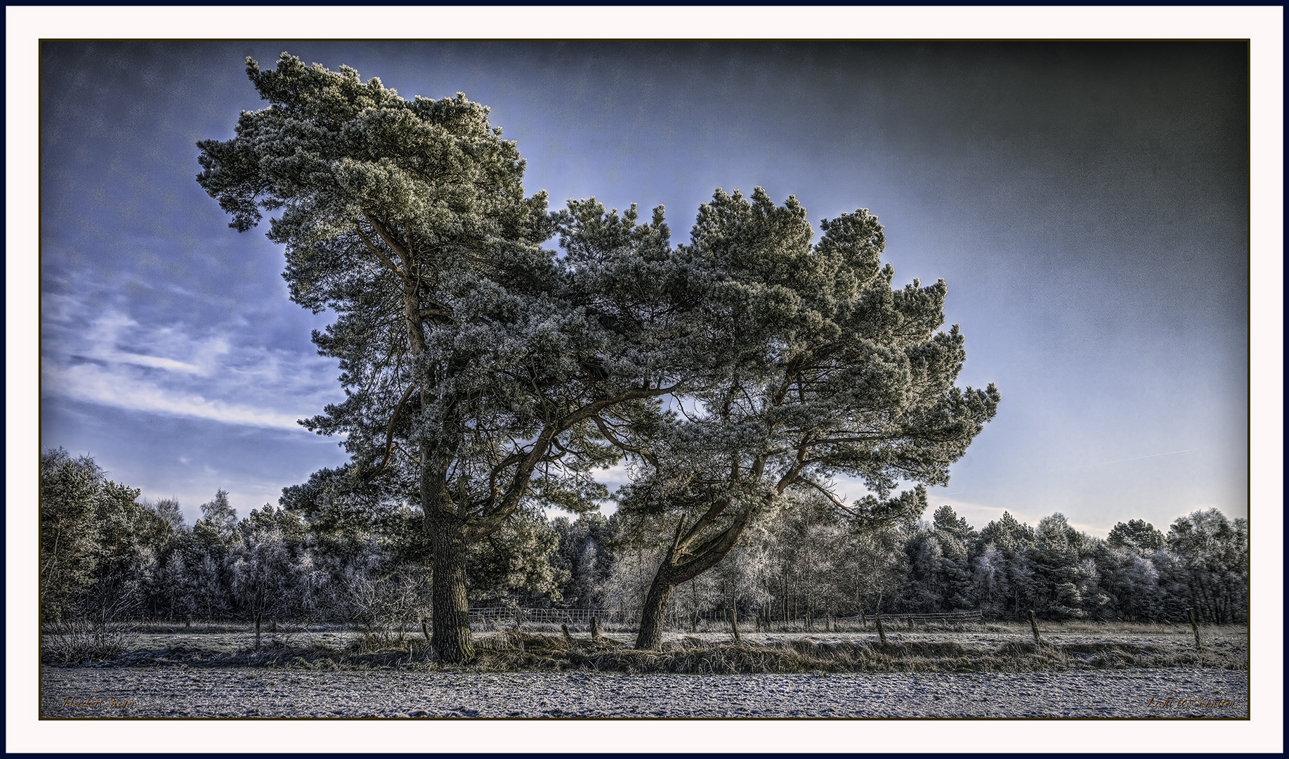 Winterlandschaft in Niedersachsen