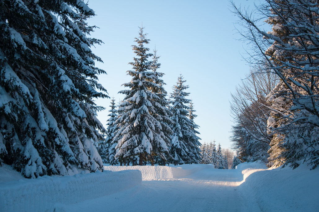 Winterlandschaft in Nordböhmen