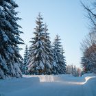 Winterlandschaft in Nordböhmen