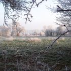 Winterlandschaft in Norddeutschland (6)