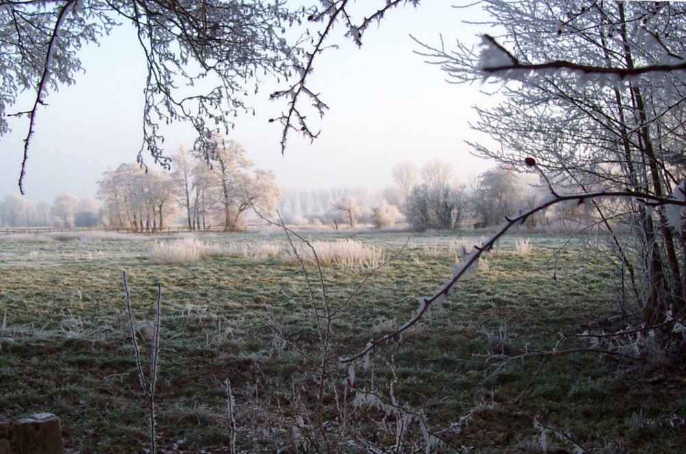 Winterlandschaft in Norddeutschland (6)