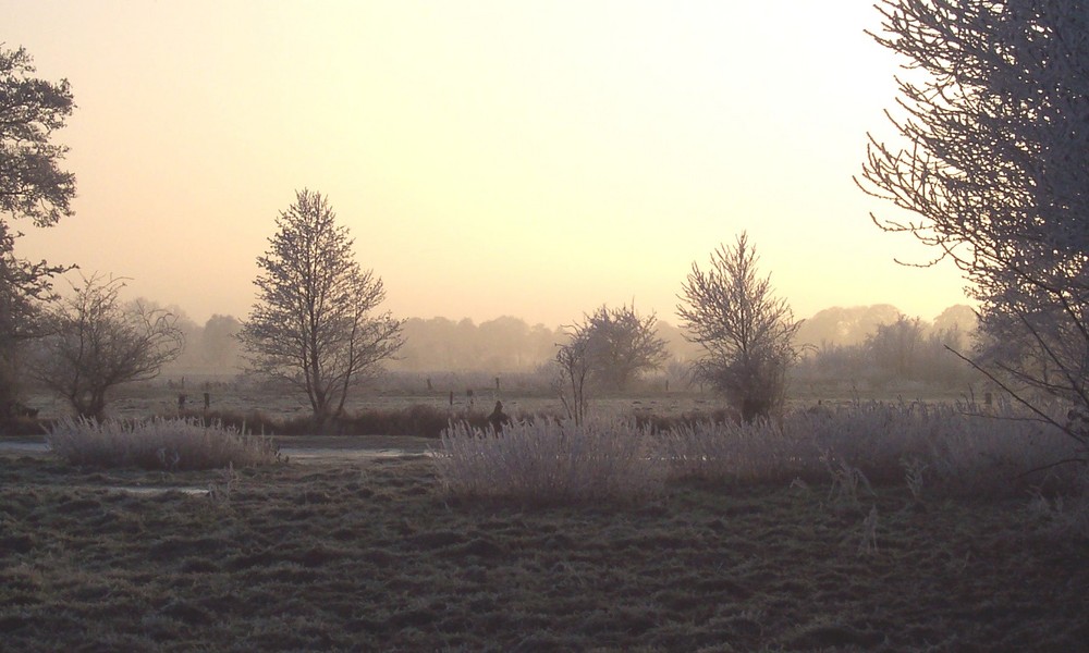 Winterlandschaft in Norddeutschland (7)