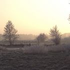 Winterlandschaft in Norddeutschland (7)