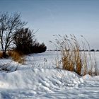 Winterlandschaft in Nordfriesland