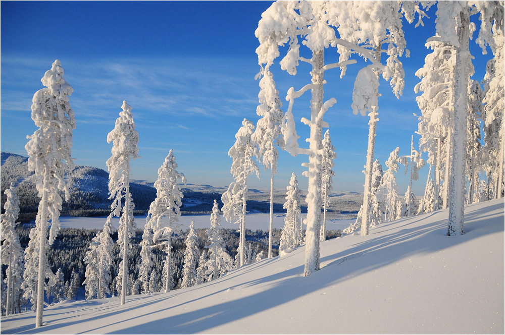 Winterlandschaft in Nordschweden