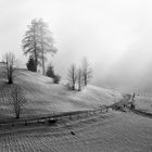 Winterlandschaft in Oberbayern