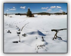 Winterlandschaft in Oberbayern