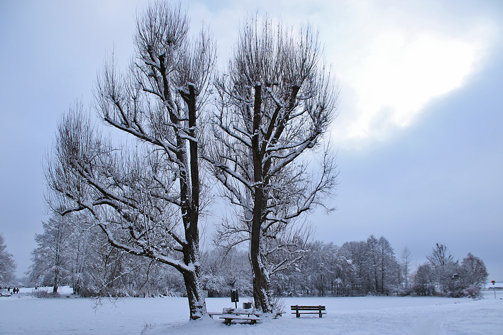 Winterlandschaft in Oberschwaben